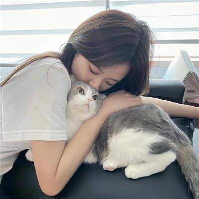 风尘舞蝶