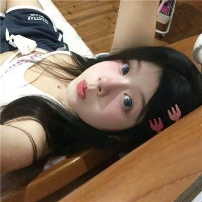 百灵鸟